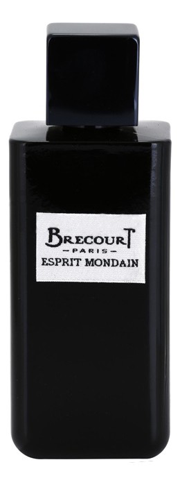 Brecourt Esprit Mondain