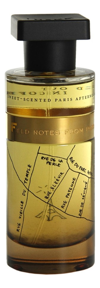 Ineke Field Notes From Paris