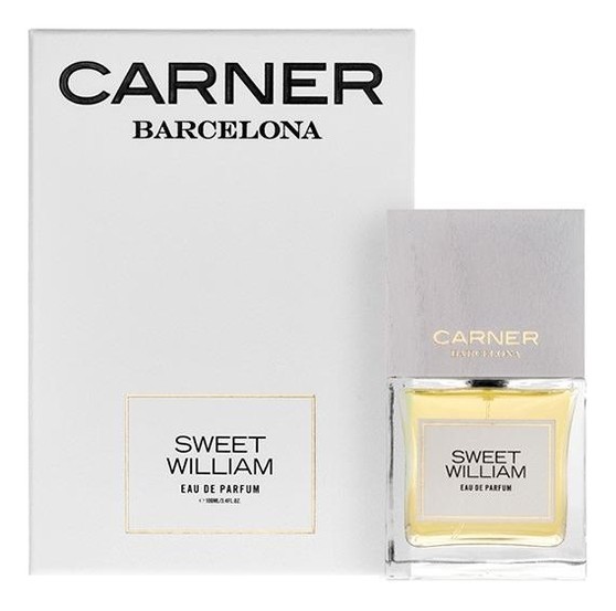 Carner Barcelona Sweet William
