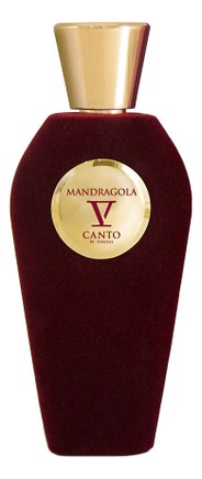 V Canto Mandragola